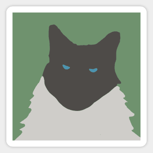 Abstract Cat on Green Magnet